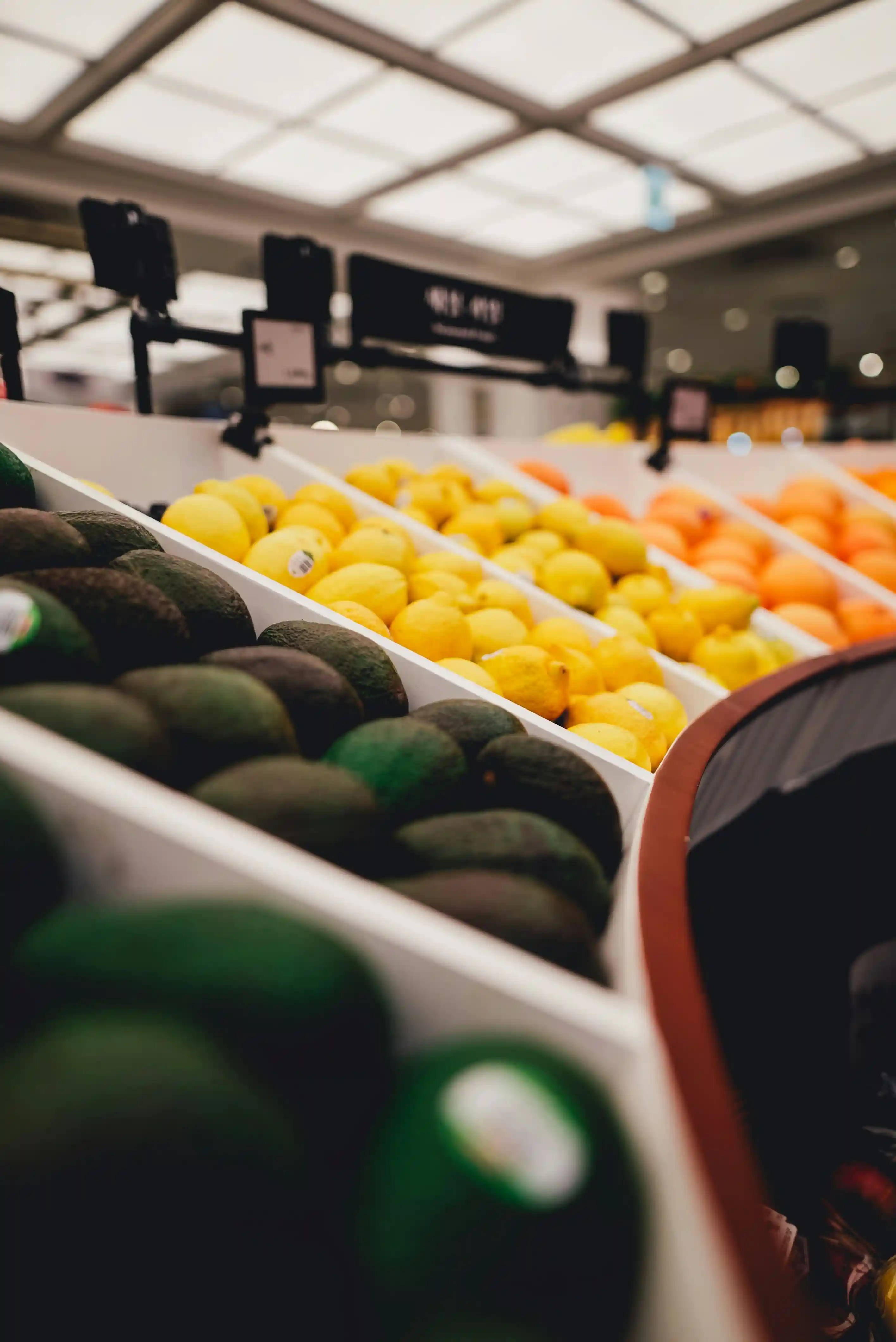 mahanta-transportasi-tangguh